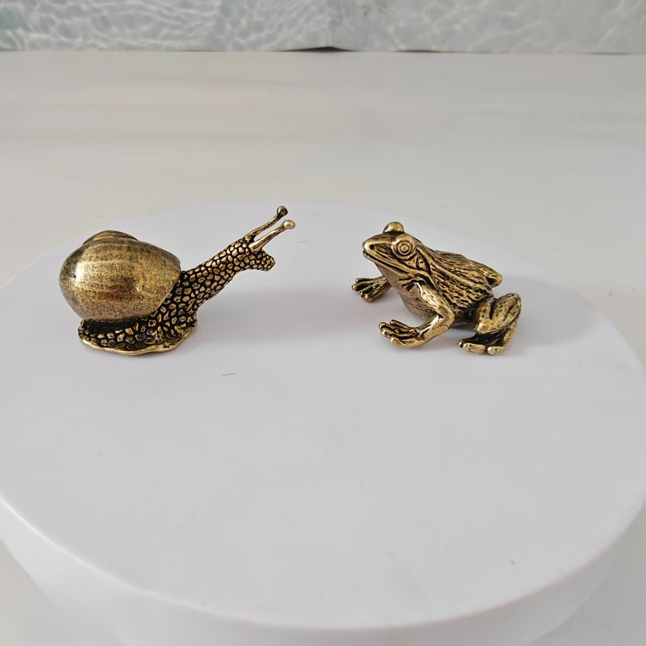 Marine Aquarium Mini - 2 adet pirinç kurbağa ve salyangoz