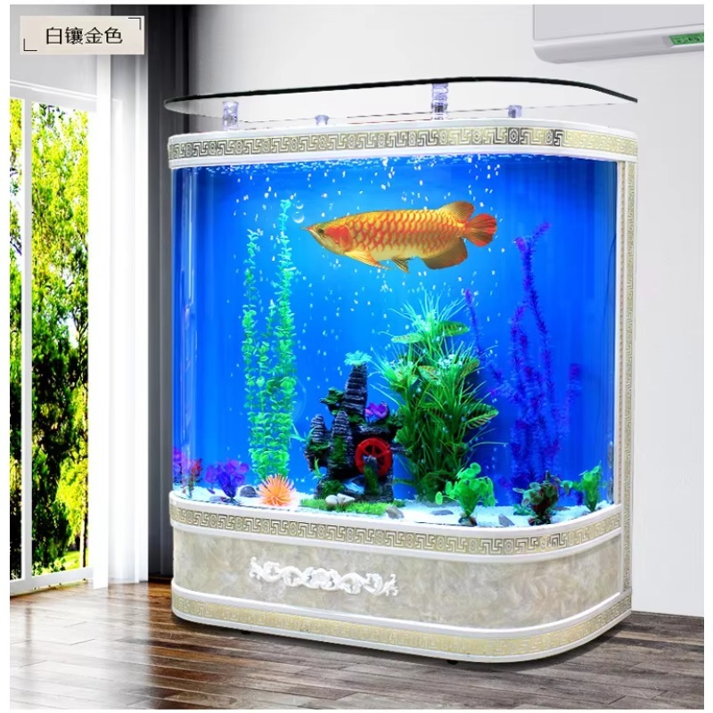 Aquarium Marine Fish For Sale - Deniz Ürünleri Büyük 200 Galon Balık