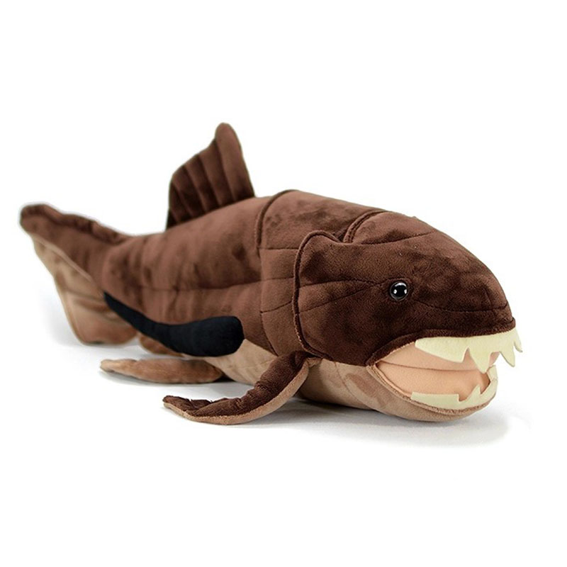 Aquarium Marine Park - Dunkleosteus terrelli Dunkle Balık Deniz Okyanus