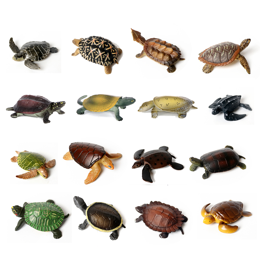 Marine Aquarium Mini - Gerçekçi minyatürleri deniz yaşamı deniz kaplumbağası