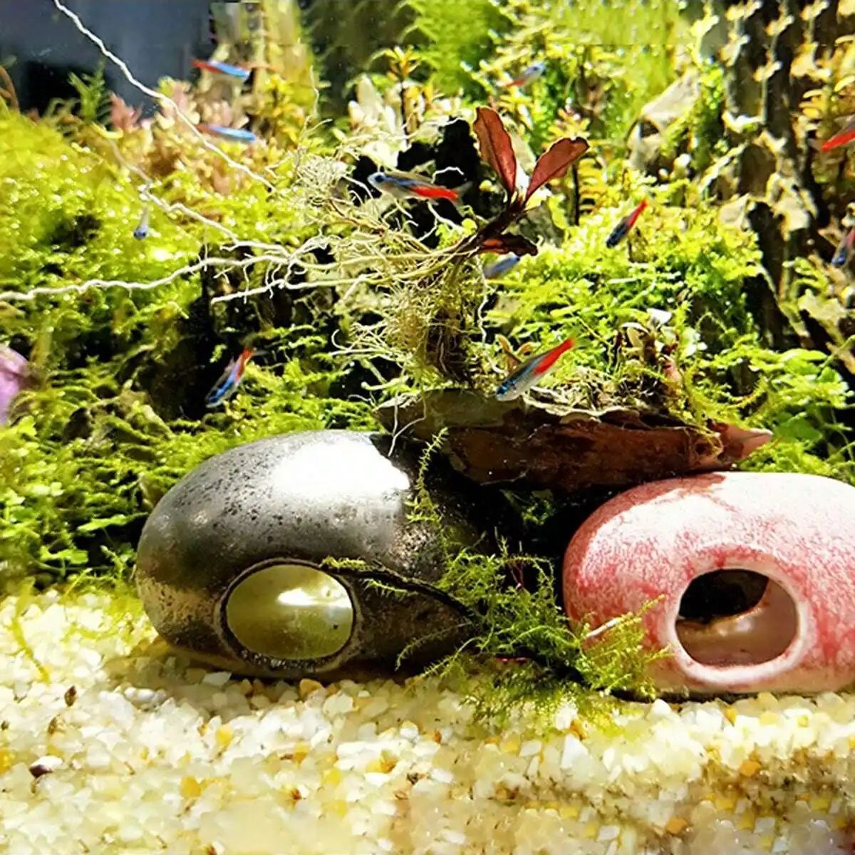 1 adet-250g Doğal Kristaller ç - Aquarium Marine Sand incelemesi ve fiyatı