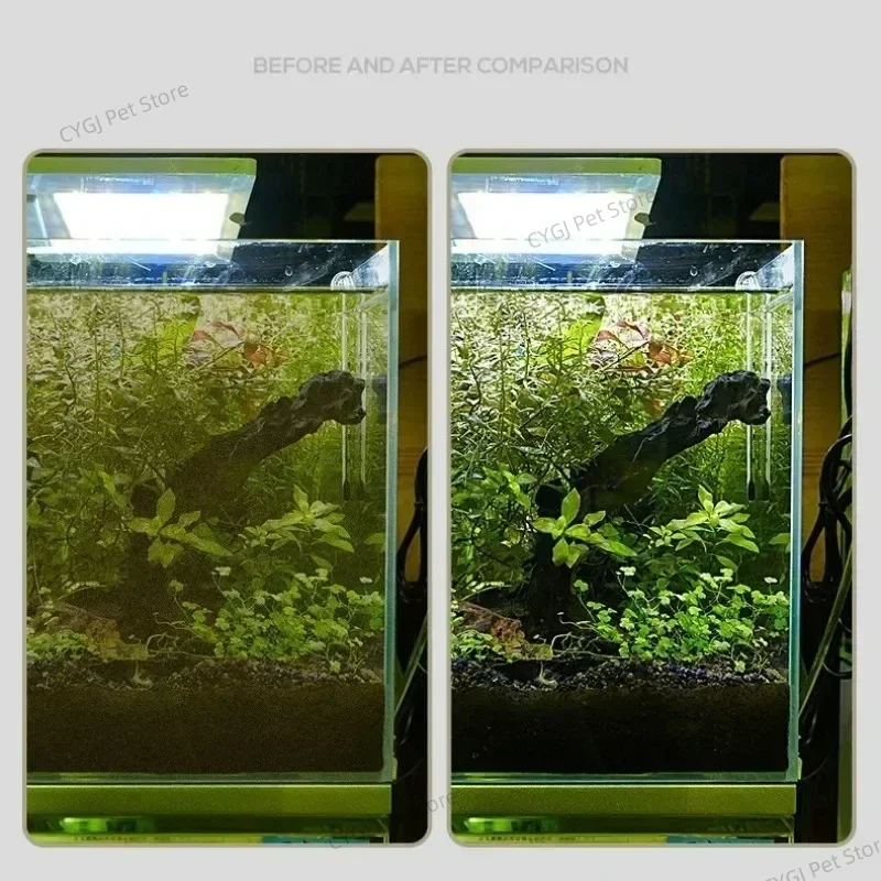 Balık Tankı Temizleme Aracı Dü - Aquarium Marine Sand incelemesi ve fiyatı