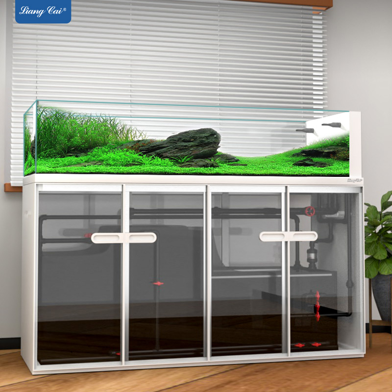 Büyük Modern Tarz Cam Akvaryum - Aquarium Marine Fish For Sale incelemesi ve fiyatı