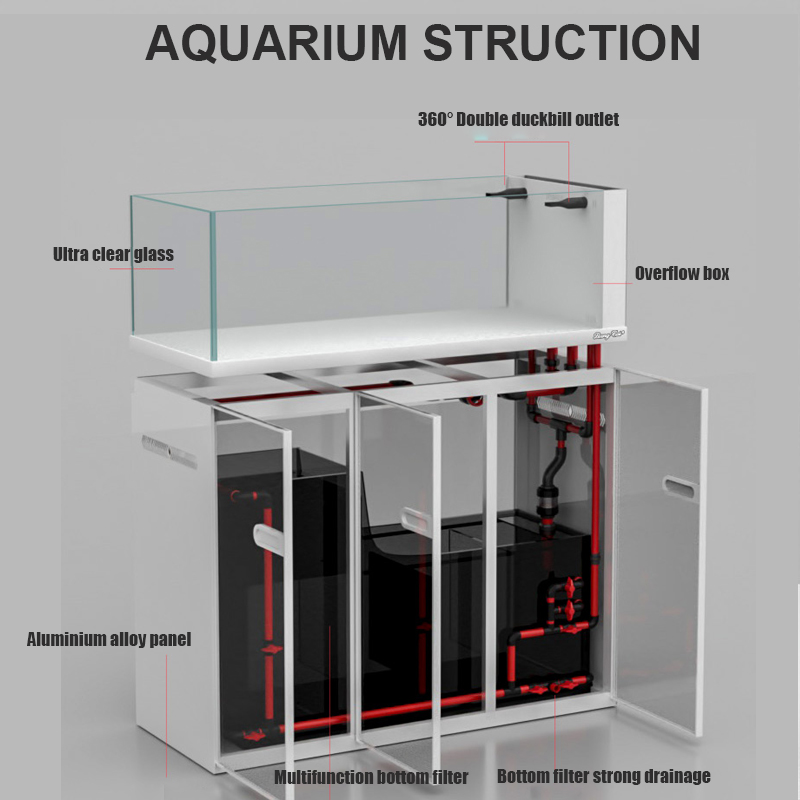 Büyük Modern Tarz Cam Akvaryum - Aquarium Marine Fish For Sale incelemesi ve fiyatı