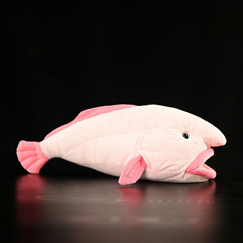 Simüle Hayvan Blobfish Deniz O - Aquarium Marine Park incelemesi ve fiyatı