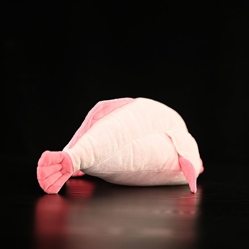 Simüle Hayvan Blobfish Deniz O - Aquarium Marine Park incelemesi ve fiyatı