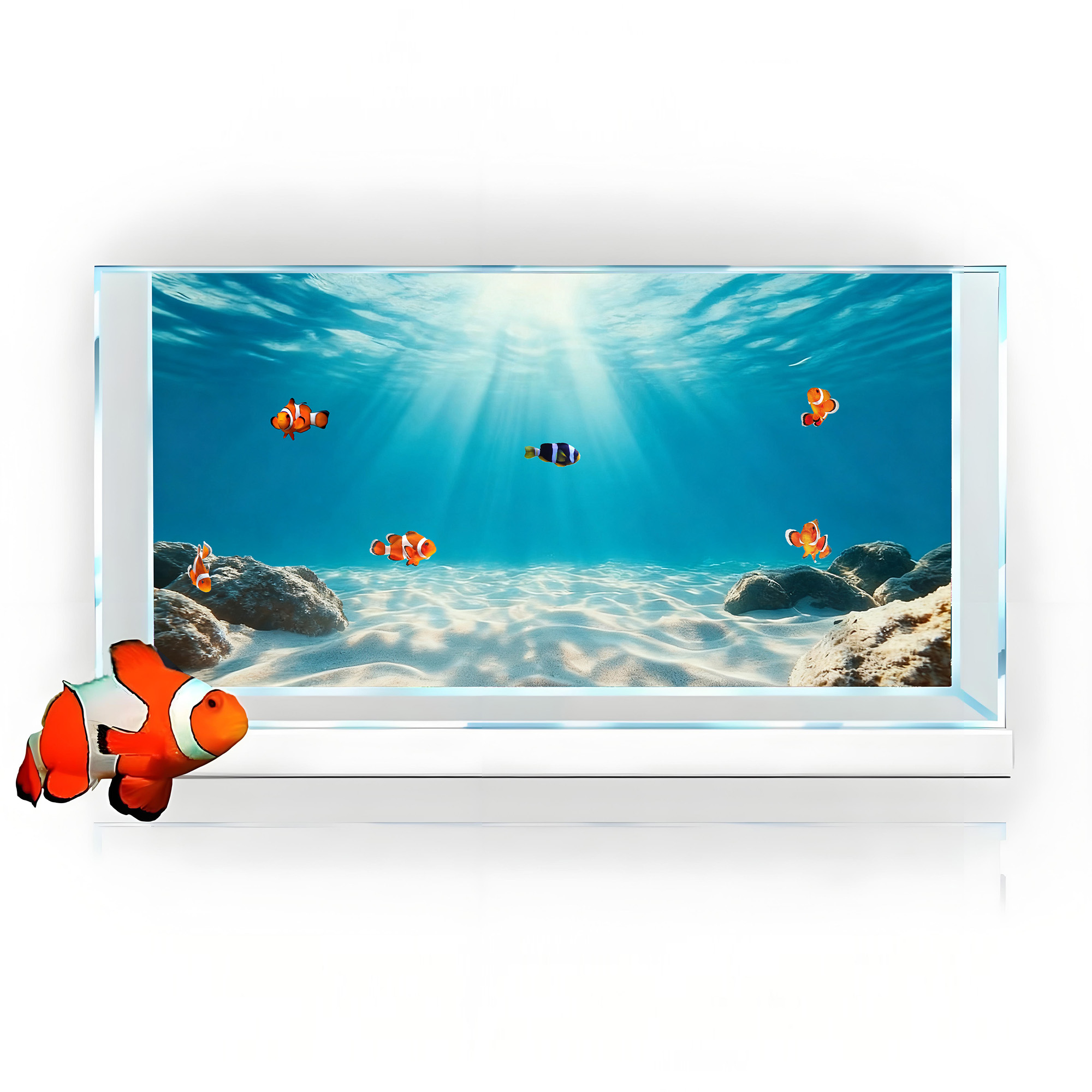 Mavi Deniz Şeffaf Kum, Balık T - Aquarium Marine Sand incelemesi ve fiyatı