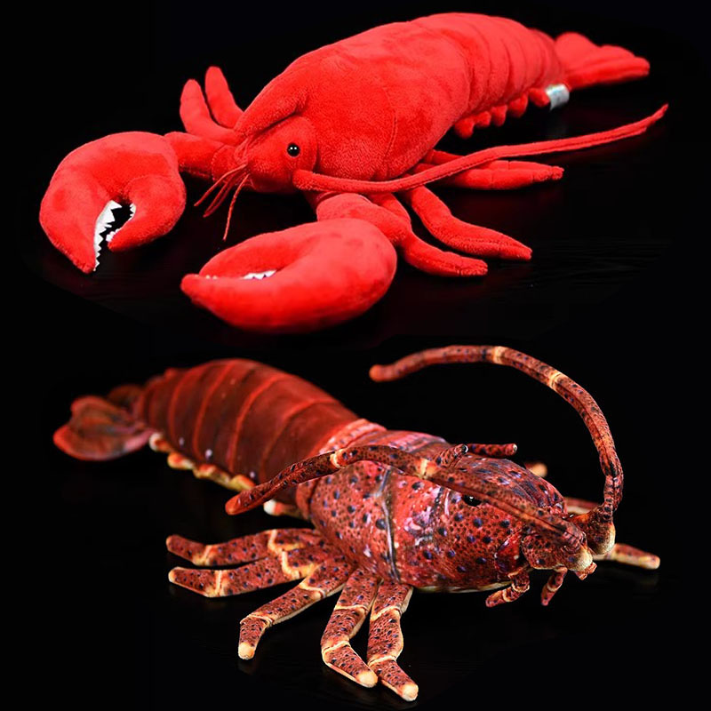 Simüle Edilmiş Hayvan Avustral - Aquarium Marine Park incelemesi ve fiyatı
