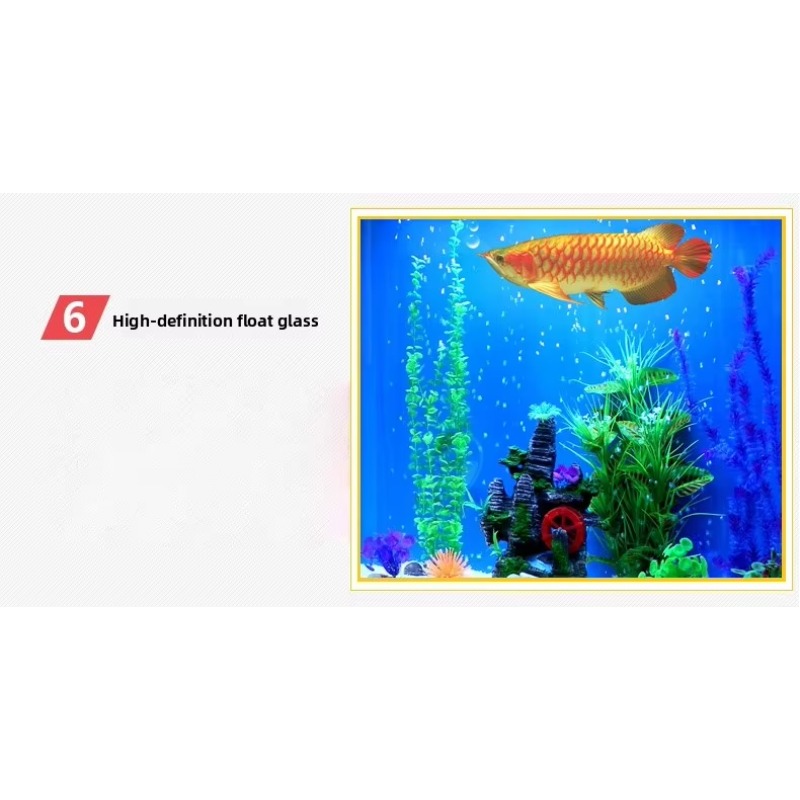 Deniz Ürünleri Büyük 200 Galon - Aquarium Marine Fish For Sale incelemesi ve fiyatı