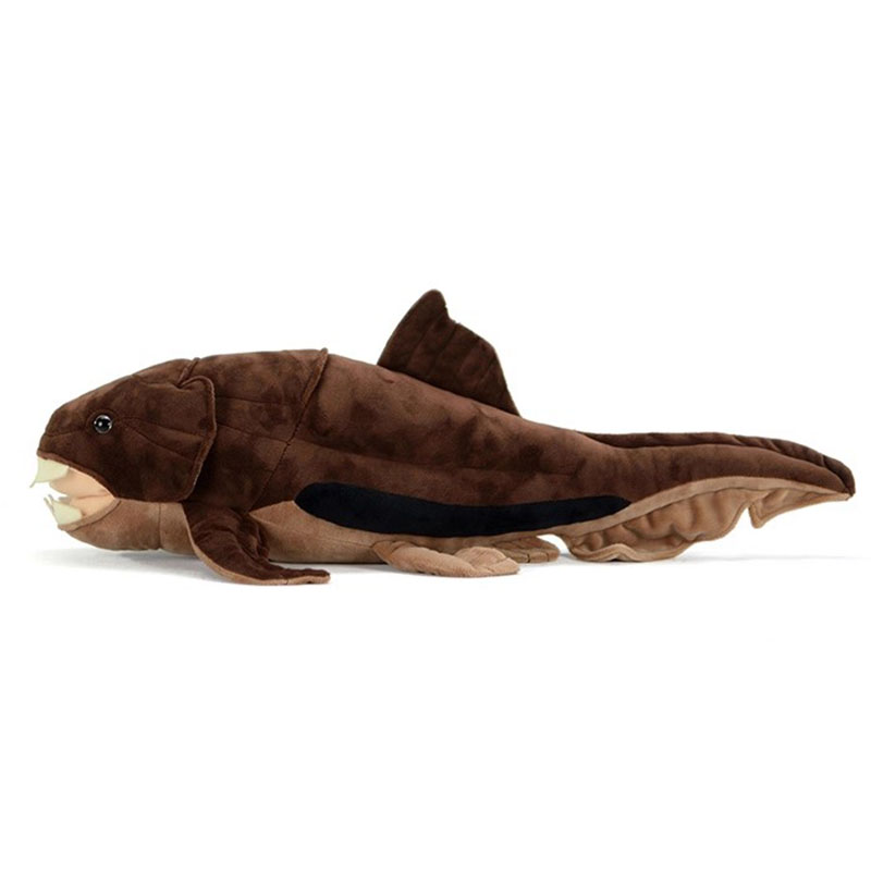 Dunkleosteus terrelli Dunkle B - Aquarium Marine Park incelemesi ve fiyatı