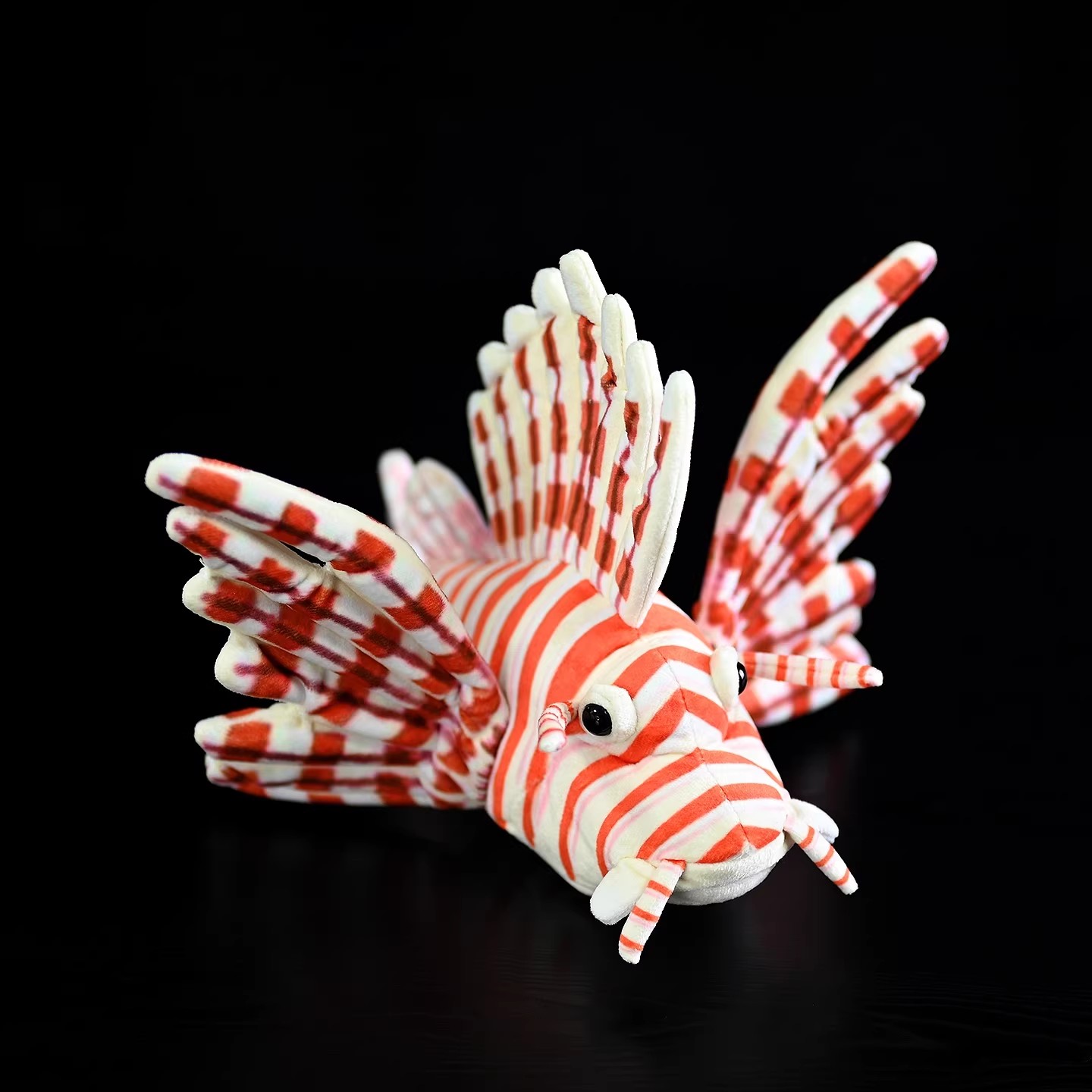 Pterois Volitans Mercan Kayalı - Aquarium Marine Park incelemesi ve fiyatı