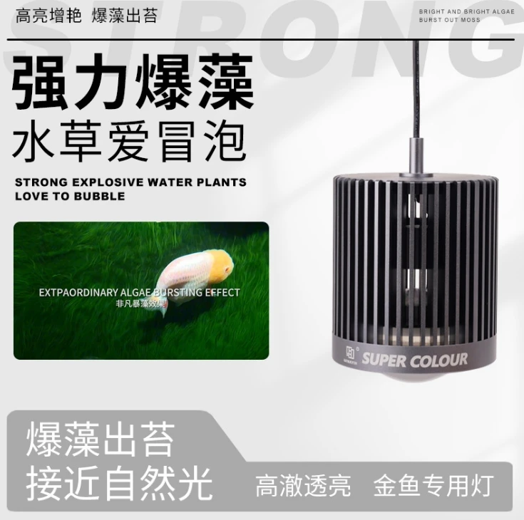 MAYIN LED Süper Renk 3D Sıcak  - Aquarium Marine Fish For Sale incelemesi ve fiyatı