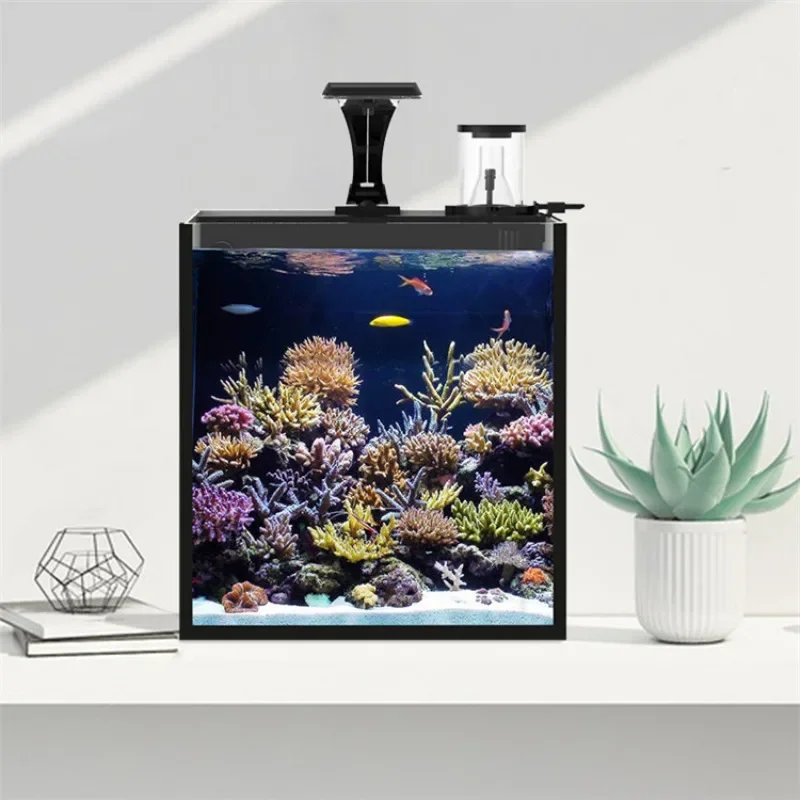 Sıcak satışlar Ultra Şeffaf Ca - Aquarium Marine Fish For Sale incelemesi ve fiyatı