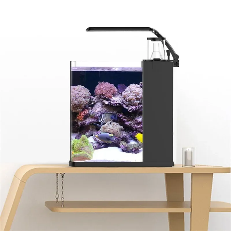 Sıcak satışlar Ultra Şeffaf Ca - Aquarium Marine Fish For Sale incelemesi ve fiyatı