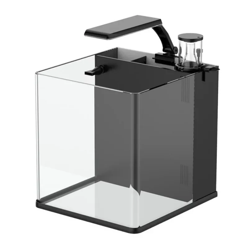 Sıcak satışlar Ultra Şeffaf Ca - Aquarium Marine Fish For Sale incelemesi ve fiyatı